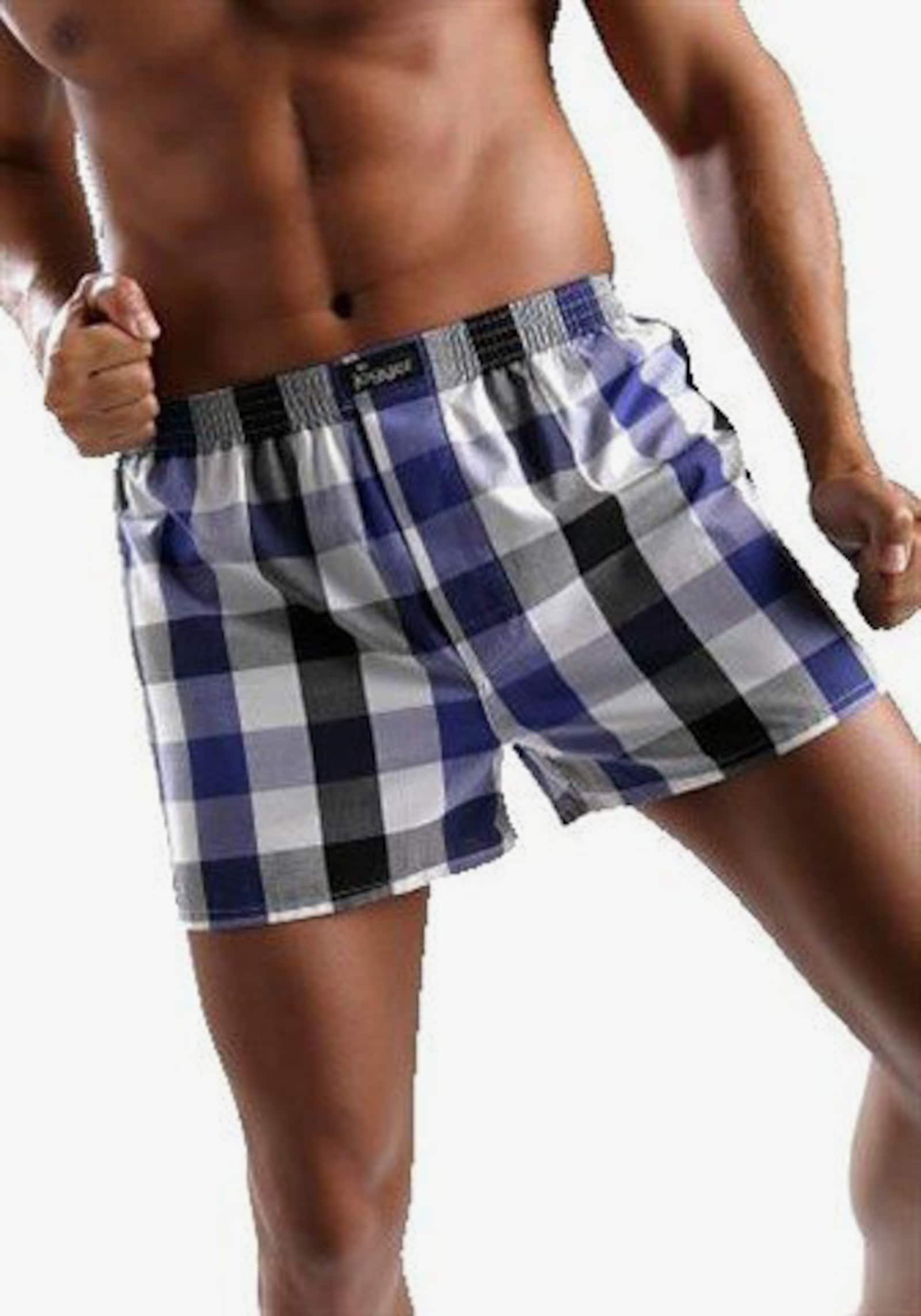 le jogger Webboxer - bunt