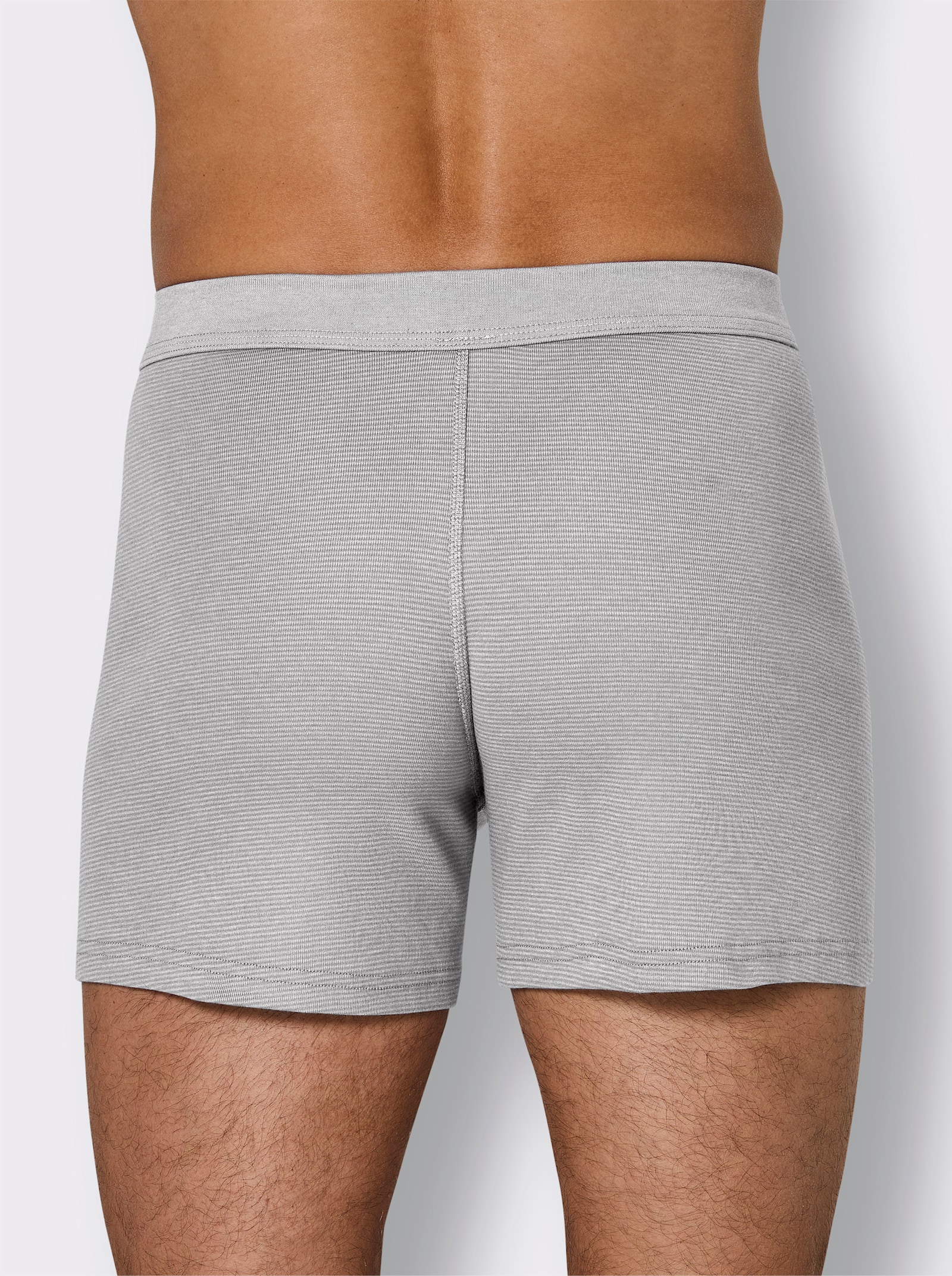 wäschepur men Boxershorts - hellgrau-geringelt