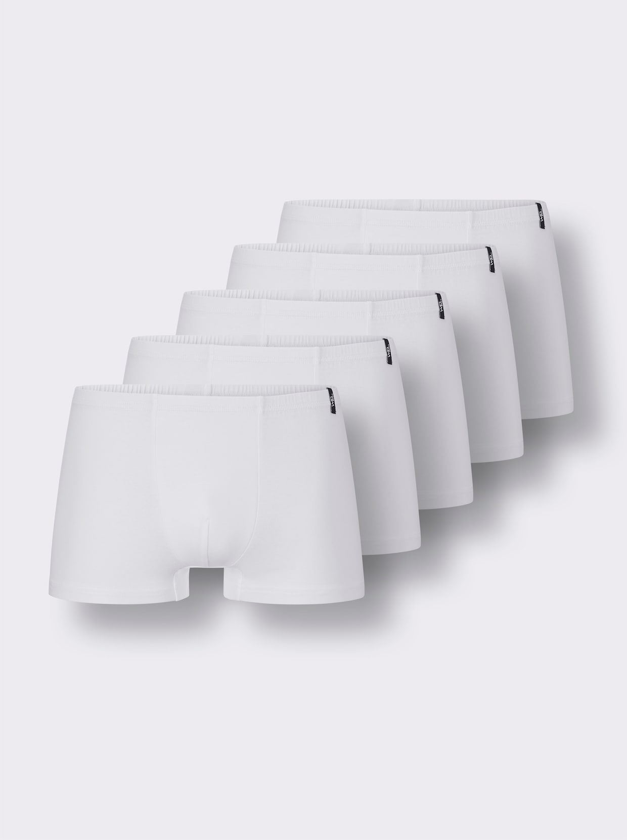 wäschepur men Pants - 5x weiss