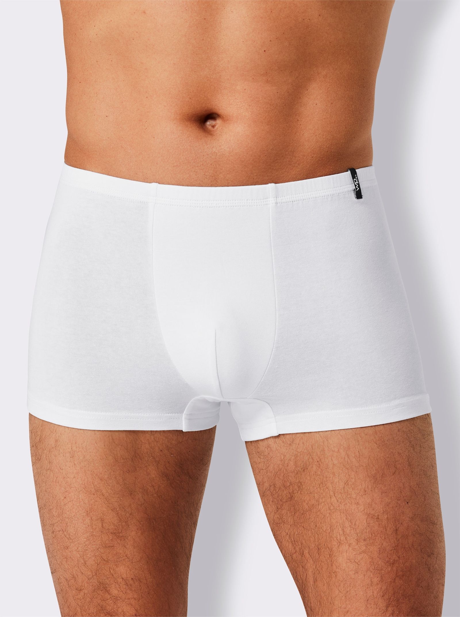 wäschepur men Pants - 5x weiss