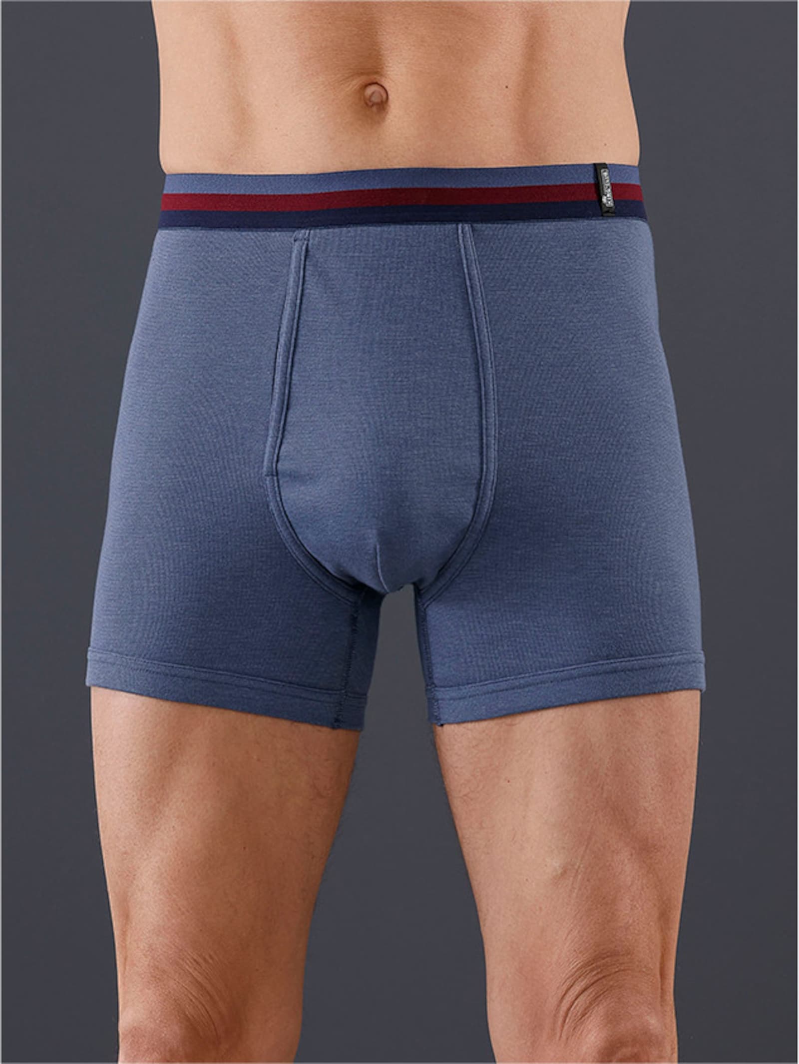 Broek kort - rookblauw