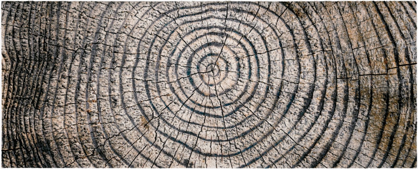 wash+dry by Kleen-Tex Paillasson - marron