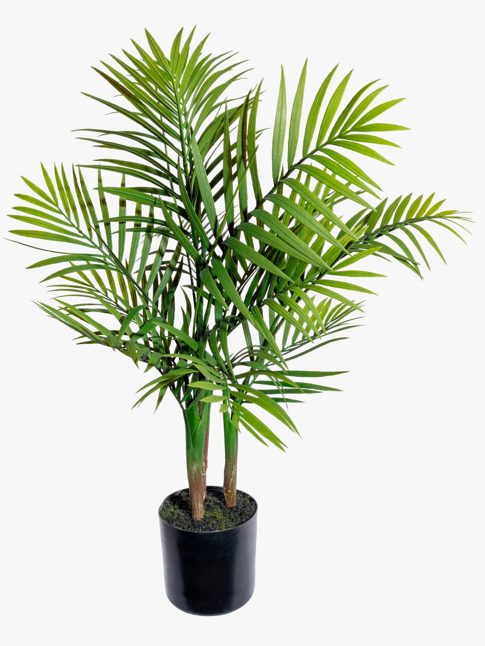 Gasper Kunstpflanze - grün