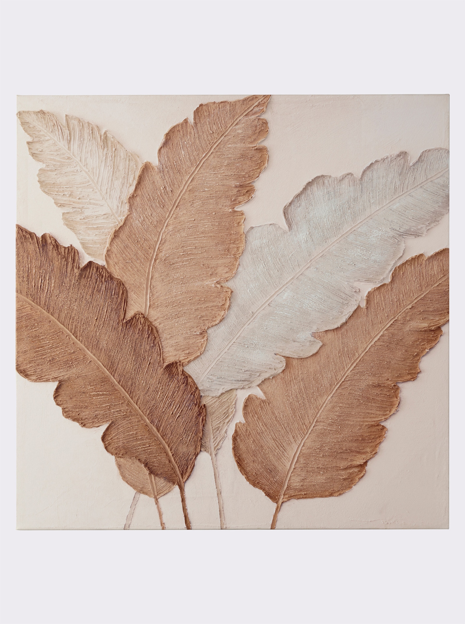 heine home Bild - natur-terra