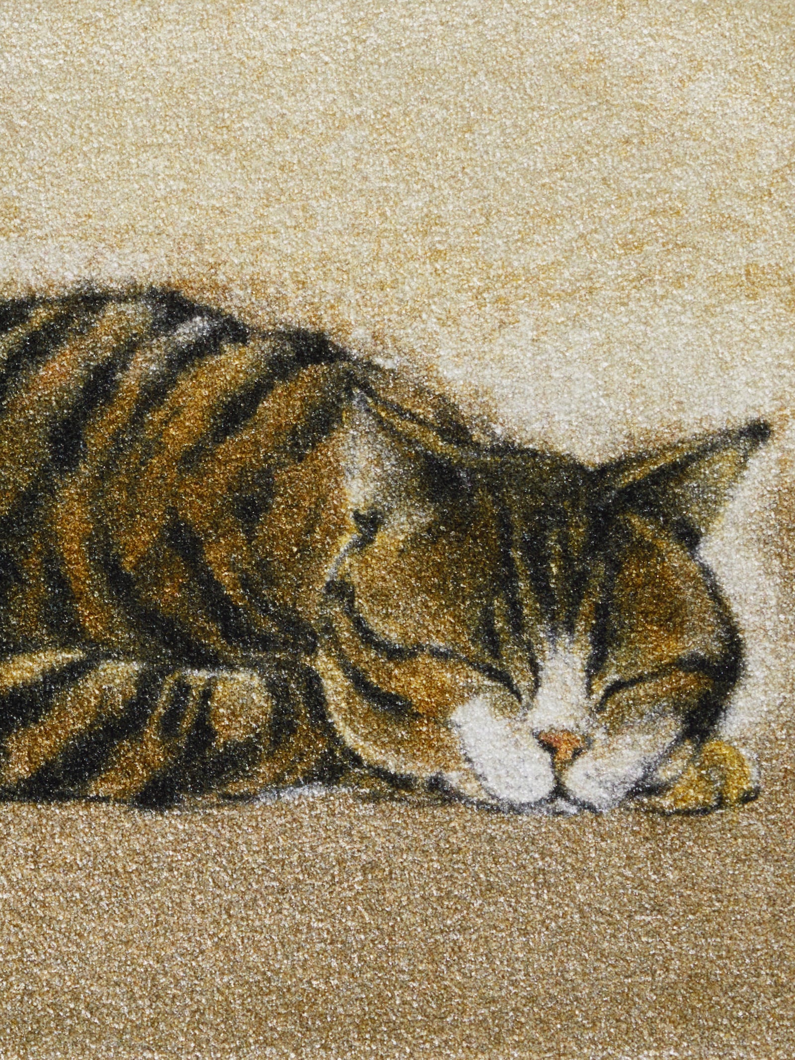 wash+dry by Kleen-Tex Paillasson - marron