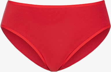 petite fleur Jazz-Pants Slips - rot, schwarz, weiß, grau-meliert, navy