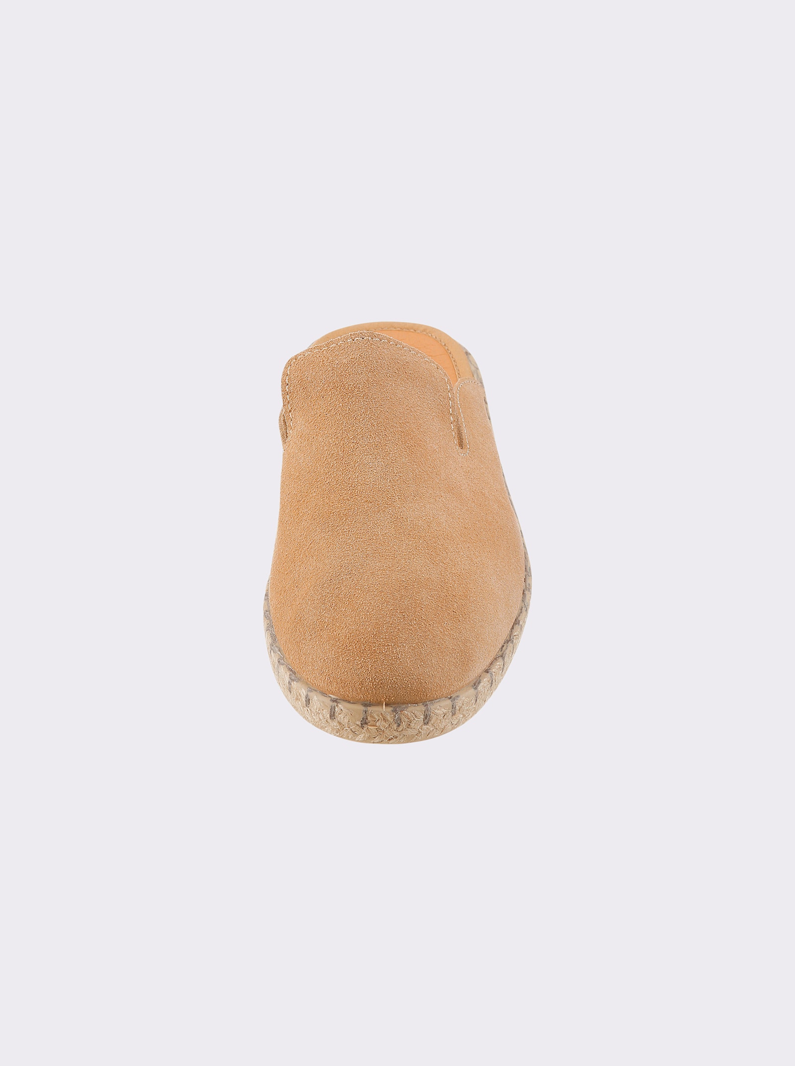 heine Sabot - camel