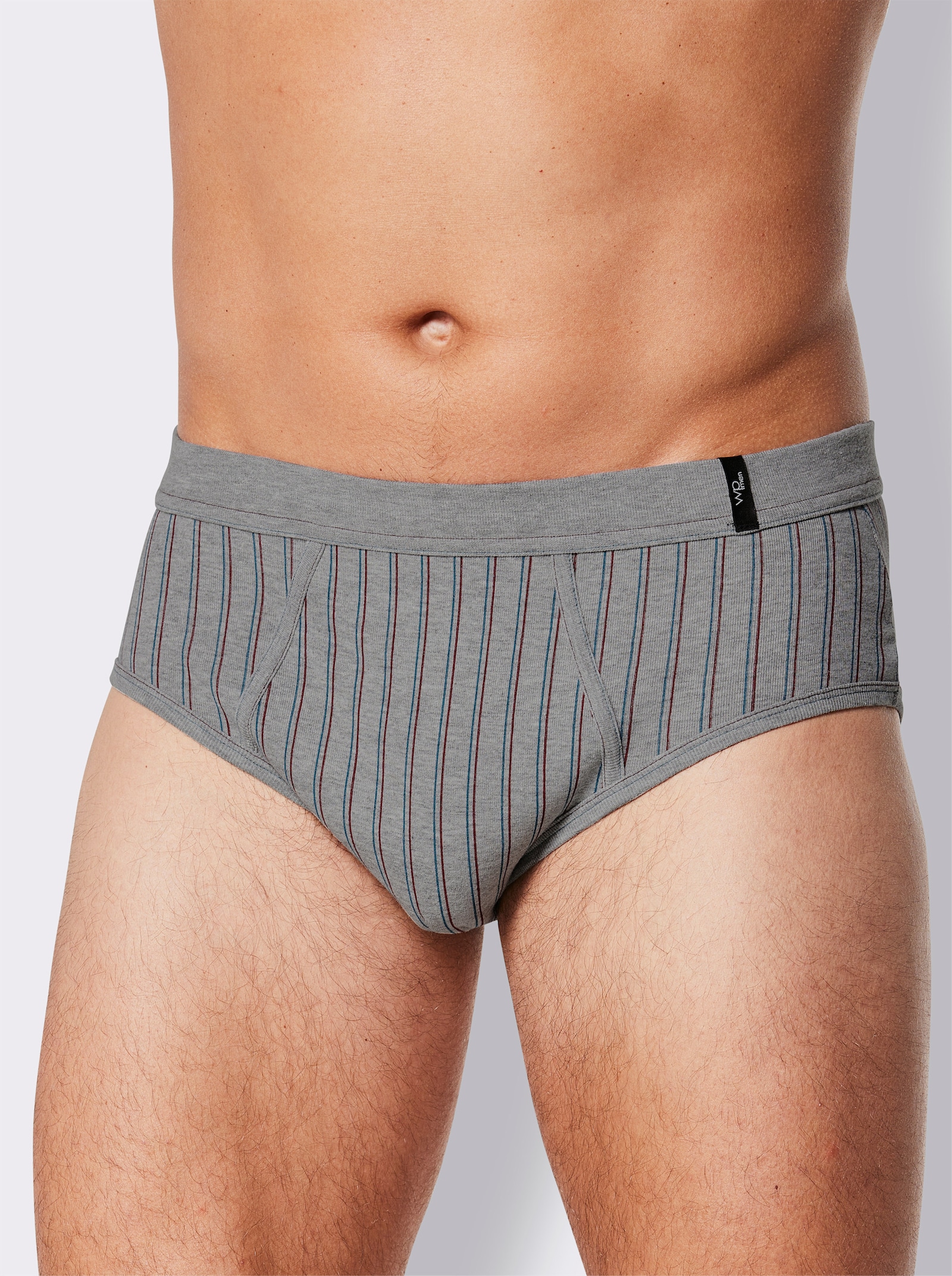 wäschepur men Slip - graumelange-dunkelrot-gestreift