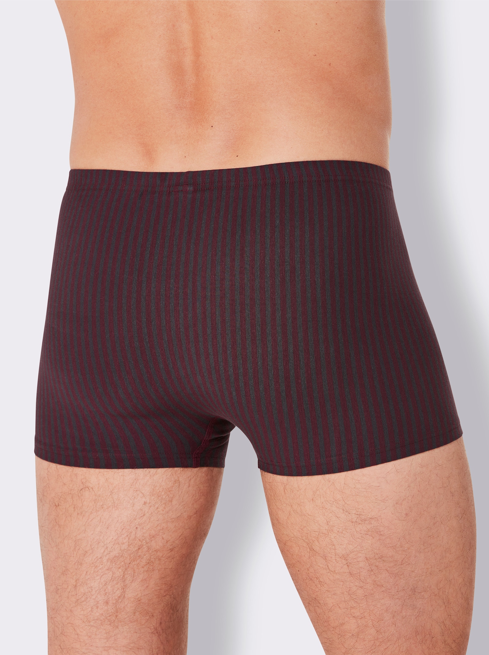 Comte Pants - bordeaux-gestreift