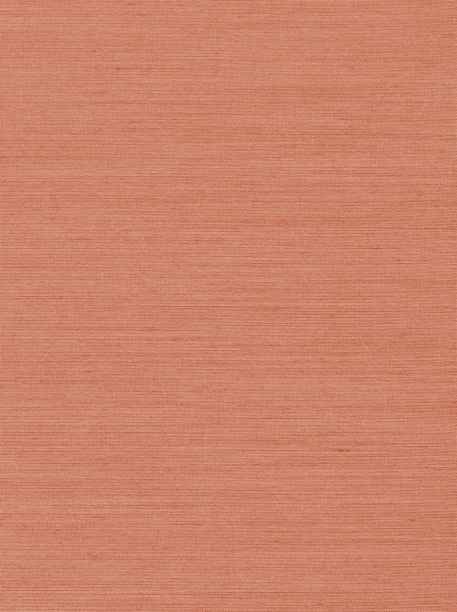 heine home Dekostore - terra