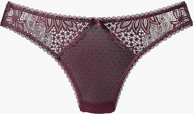 Vivance String - dark violet