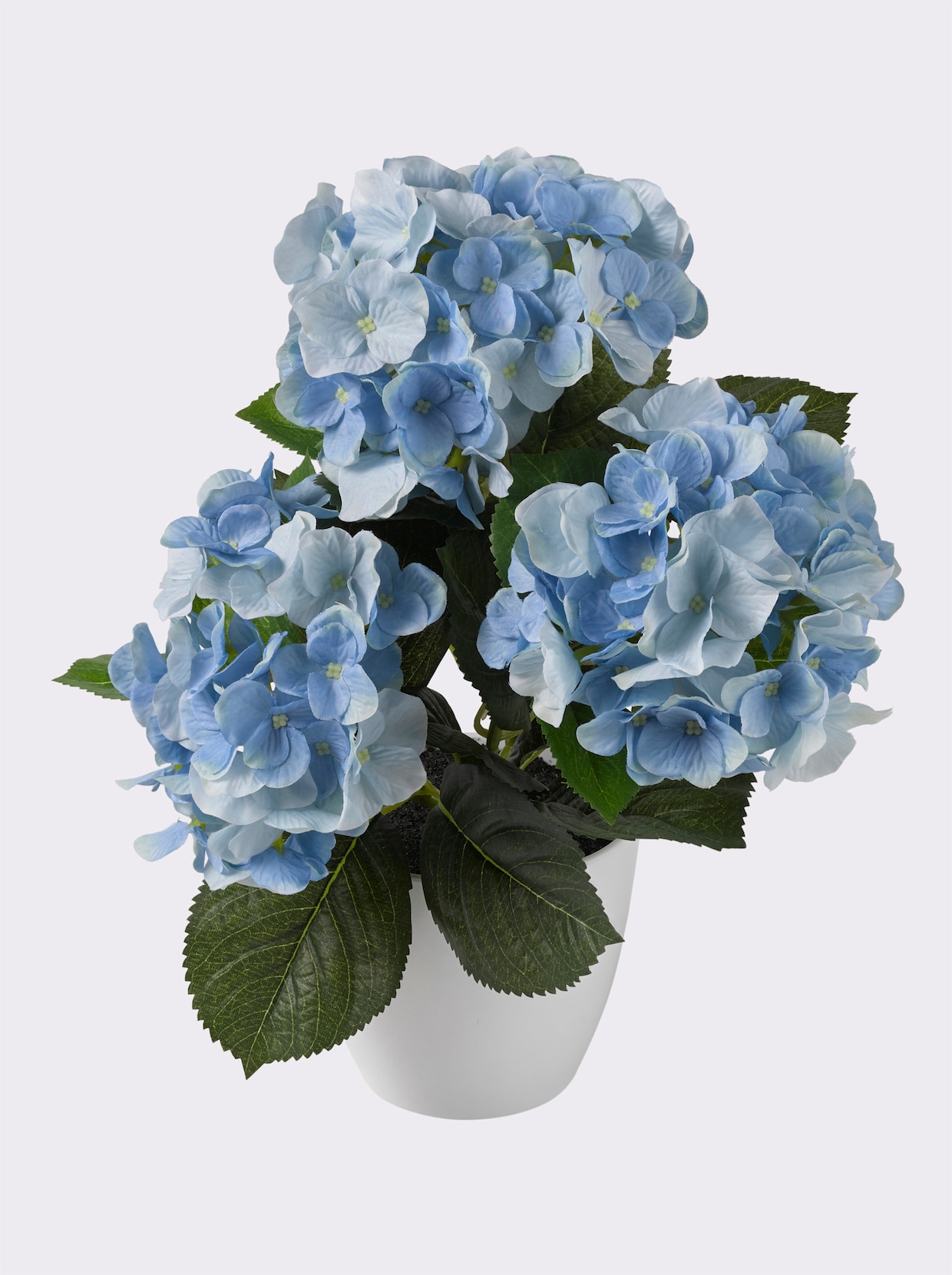 Gasper Kunstpflanze - blau
