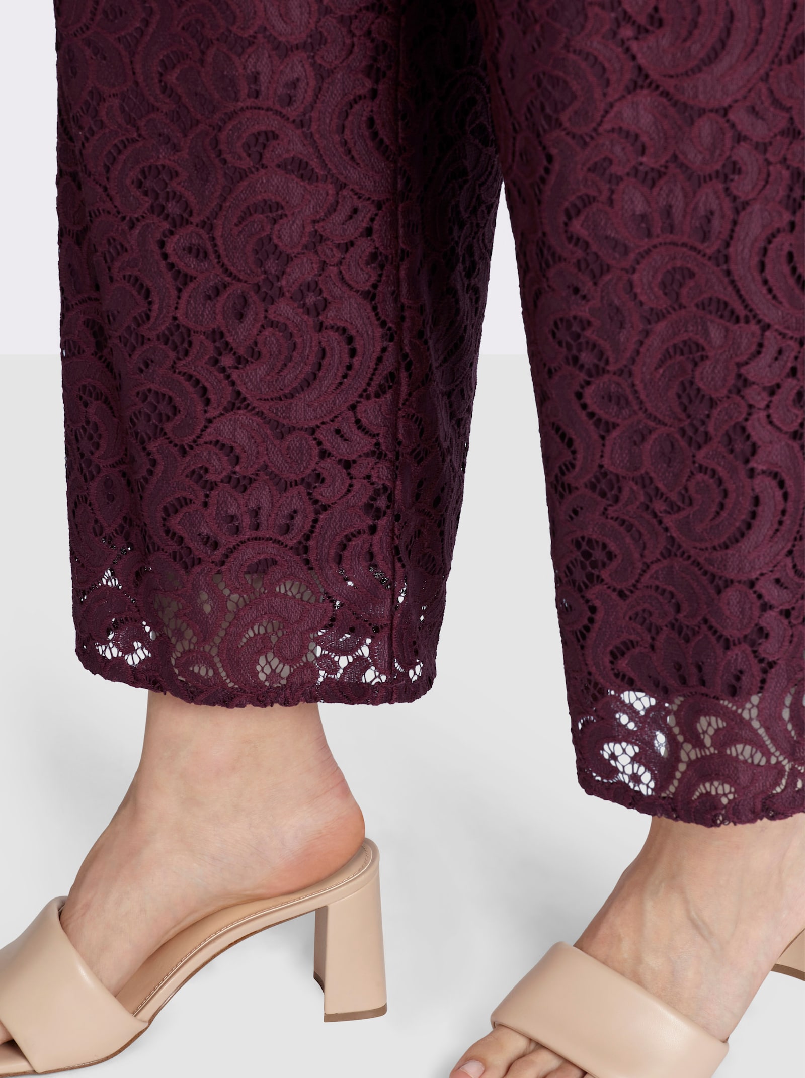 sheego Hose mit rundum Spitze - burgund
