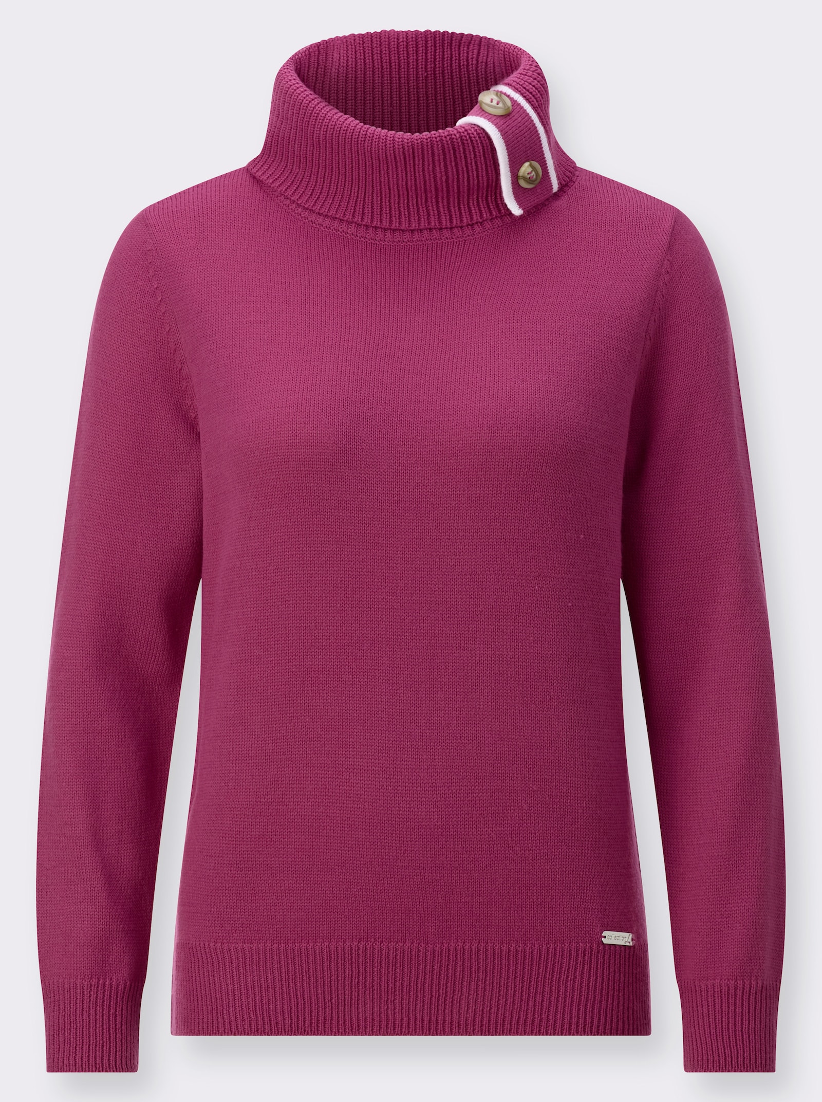 Pullover mit Rollkragen - erika