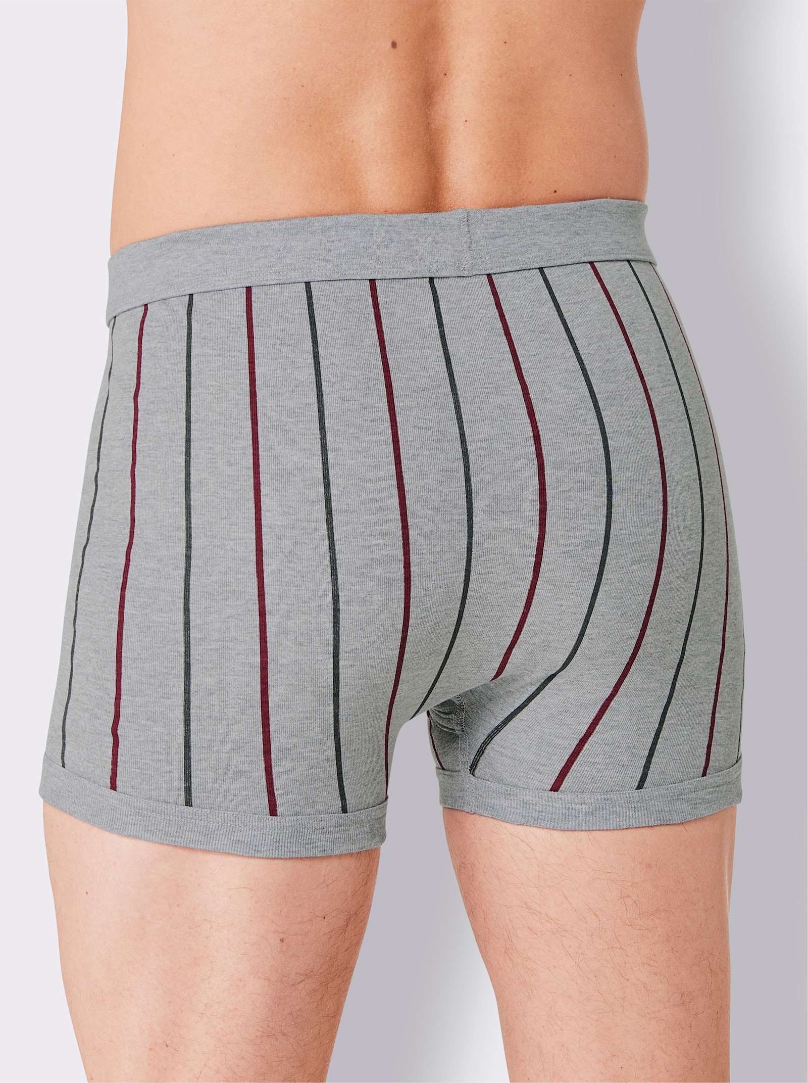 wäschepur men Hose kurz - grau-gestreift