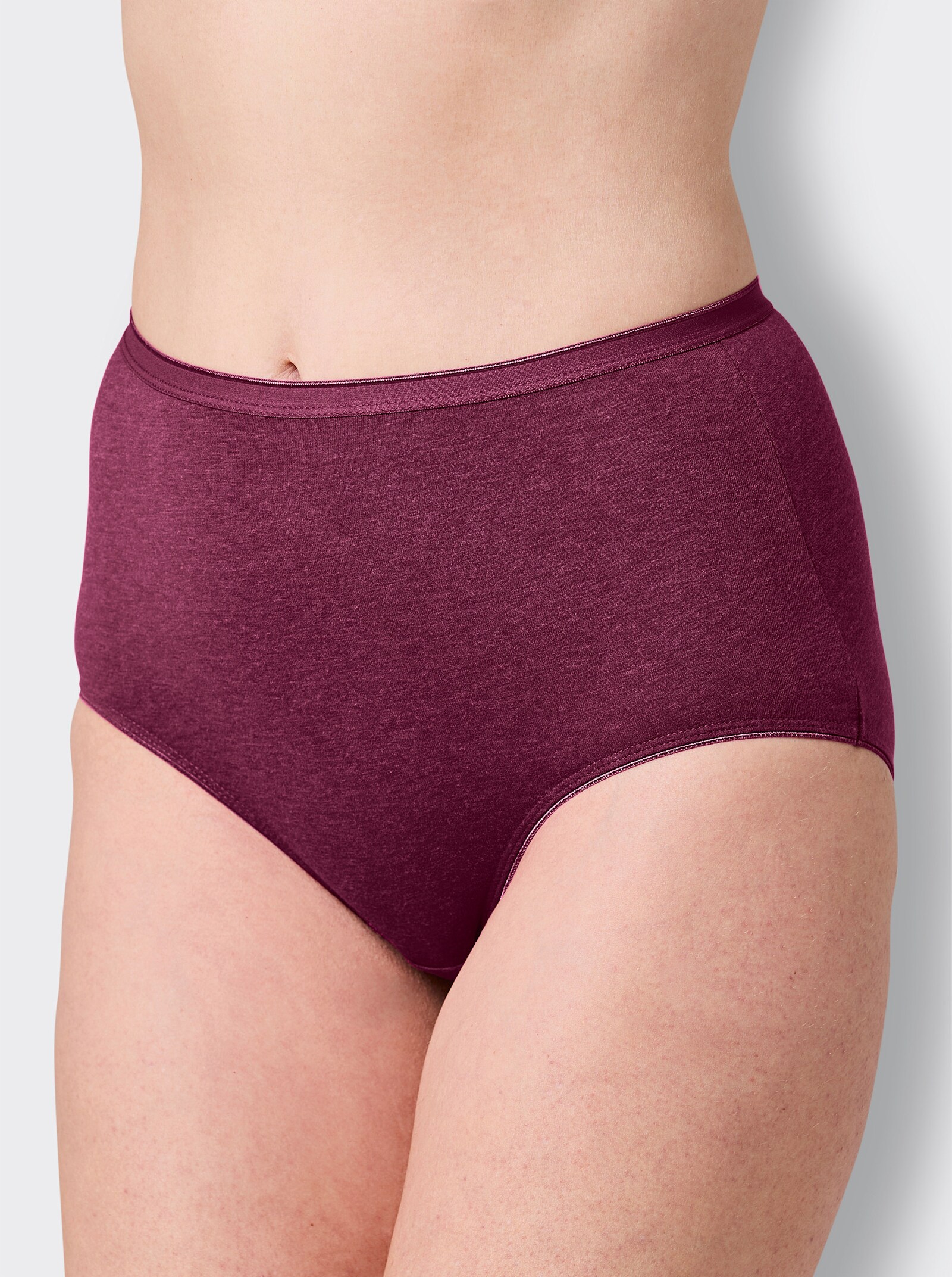 wäschepur Taillenslip - 2x malve-meliert + 2x marine-meliert