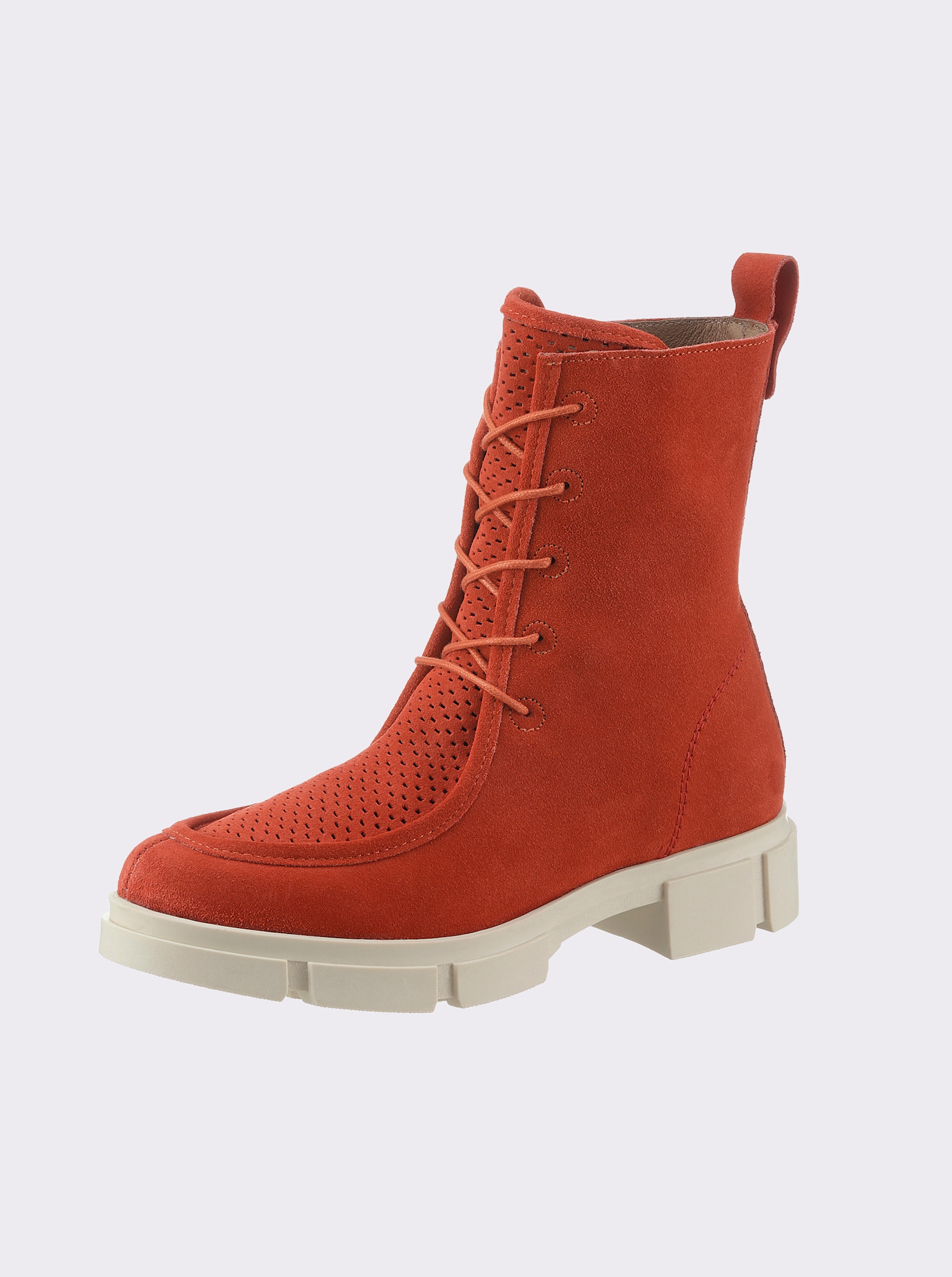 heine Veterlaarsje - langoustine