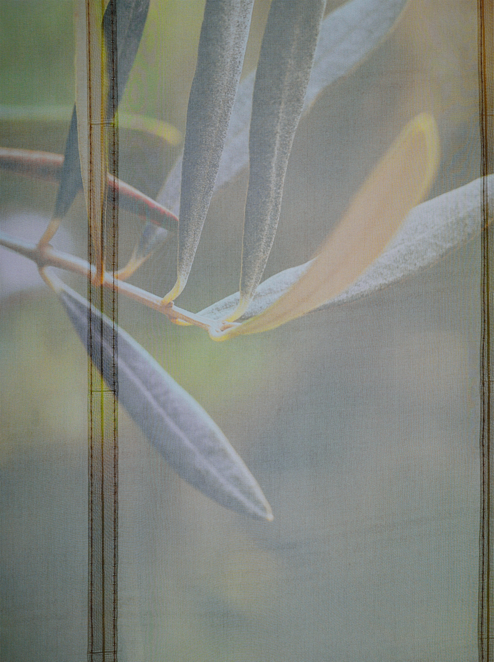 heine home Store bateau - vert