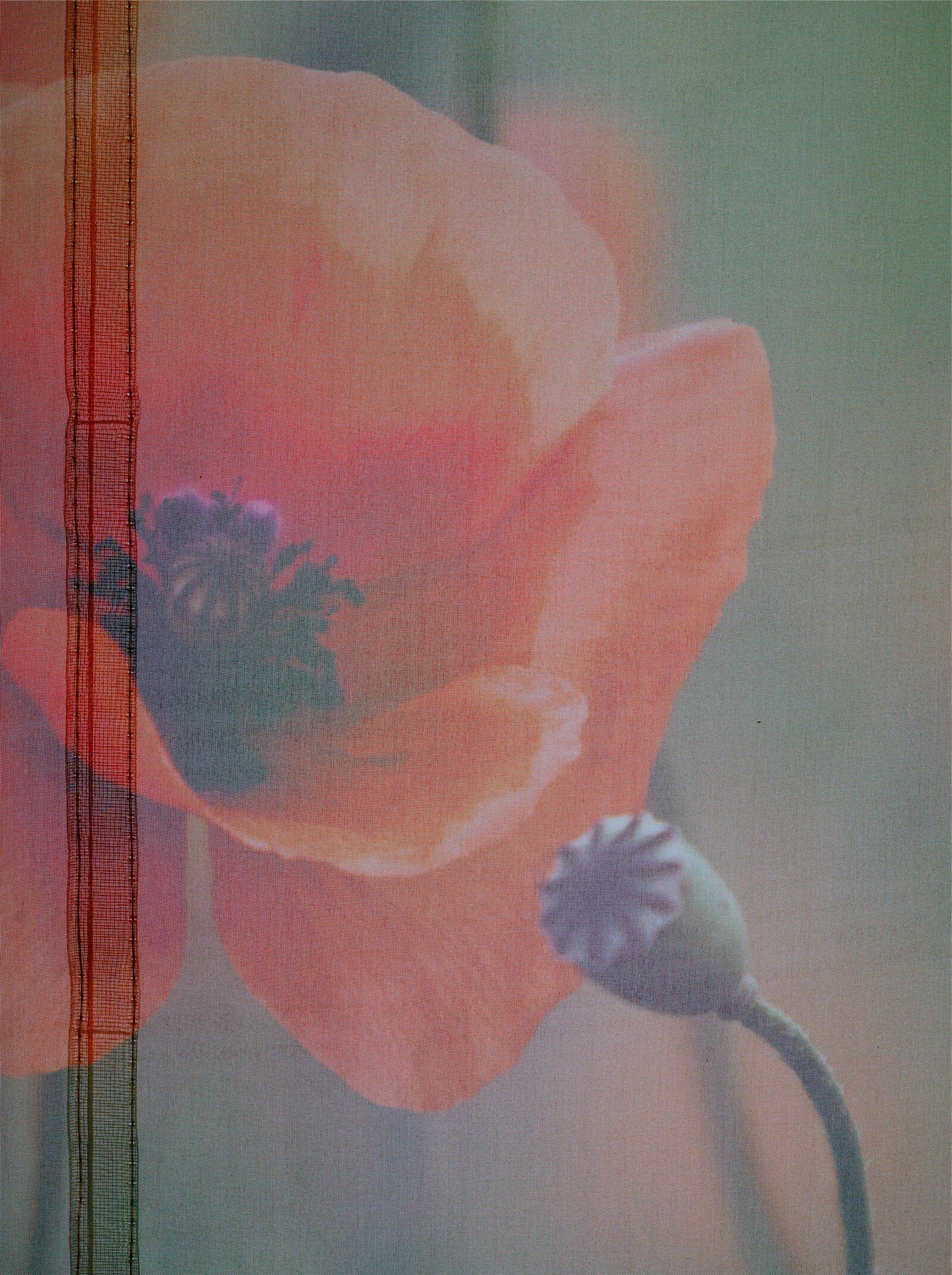 heine home Raffrollo - rot