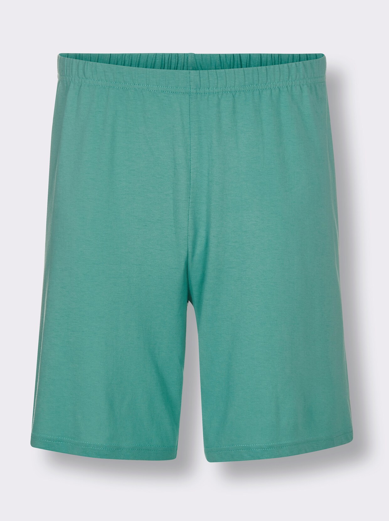 wäschepur men Shorty's - salie + middenblauw