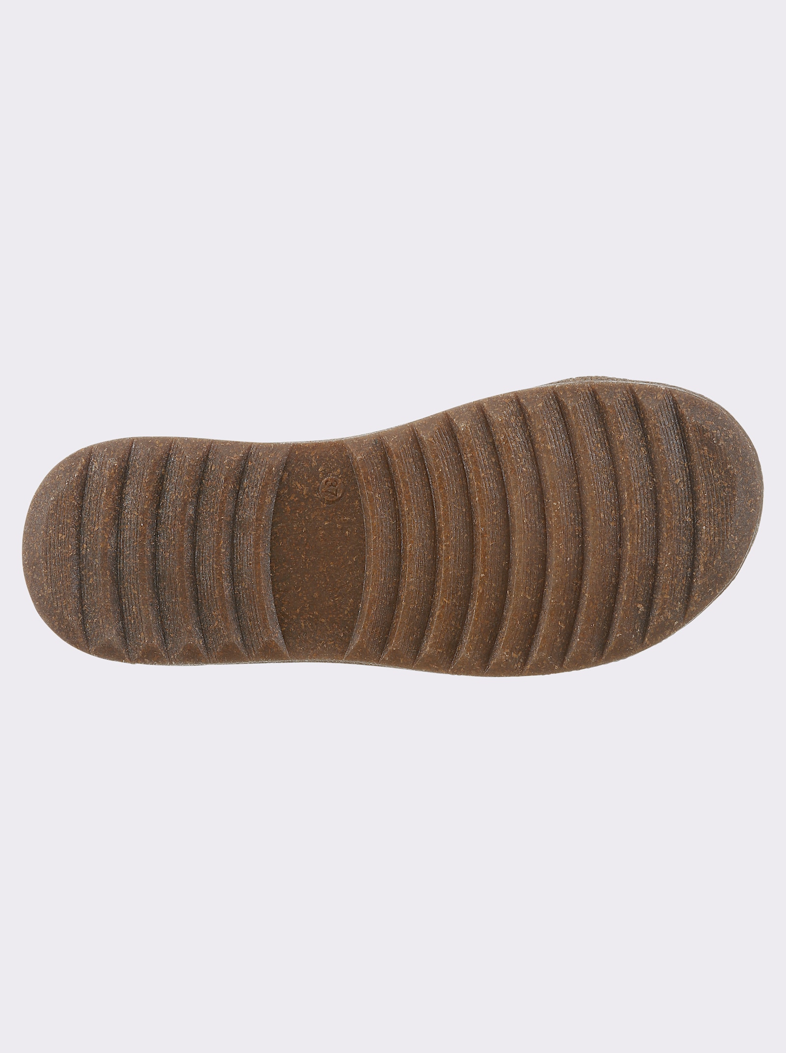 Andrea Conti Schnürer - camel