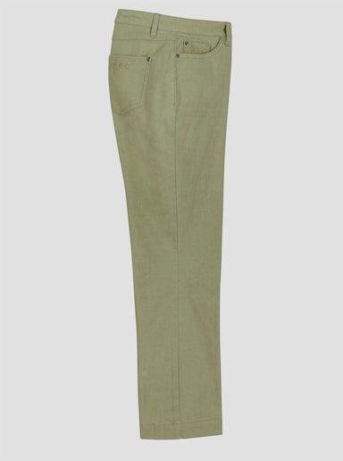 Culotte - schilf