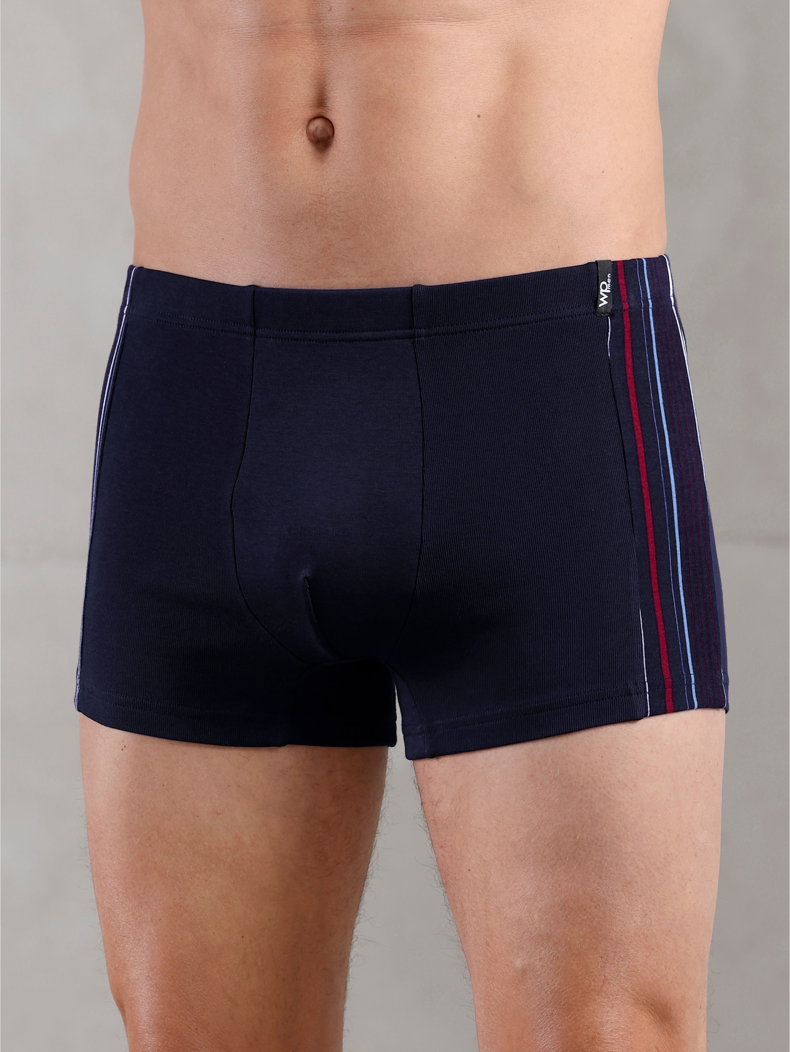 wäschepur men Pants - marine + marine-gestreift