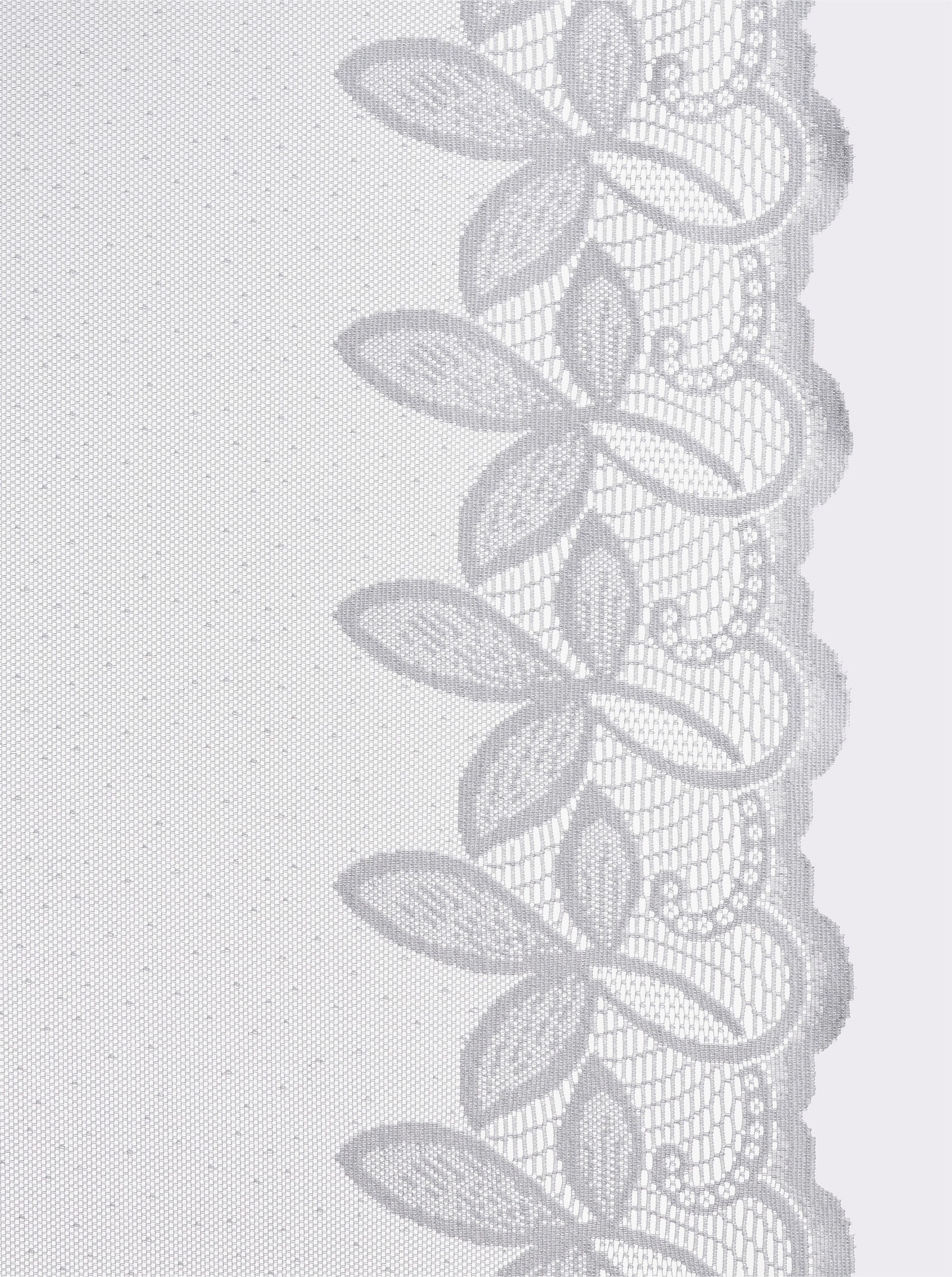 heine home Decoratieve vitrage - wit