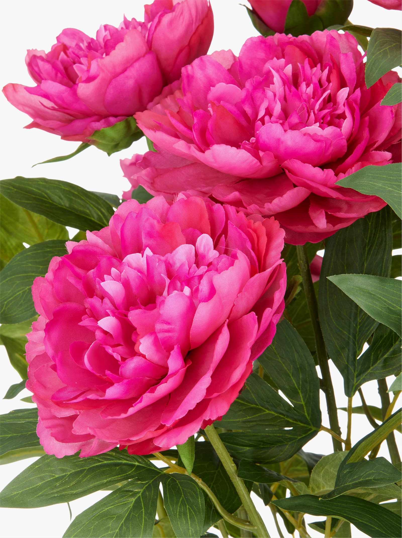 Gasper Kunstpflanze - fuchsia