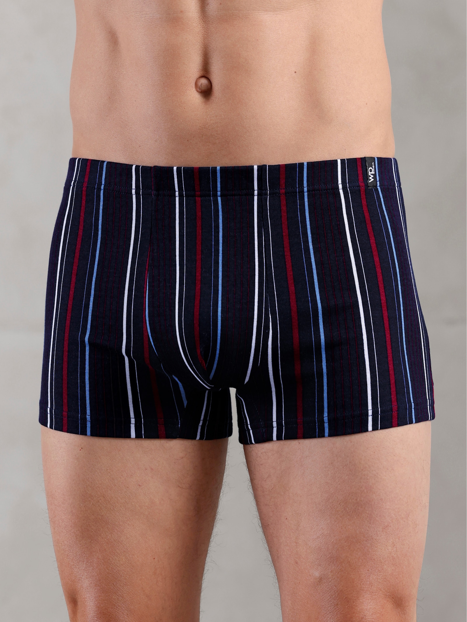 wäschepur men Pants - marine + marine-gestreift