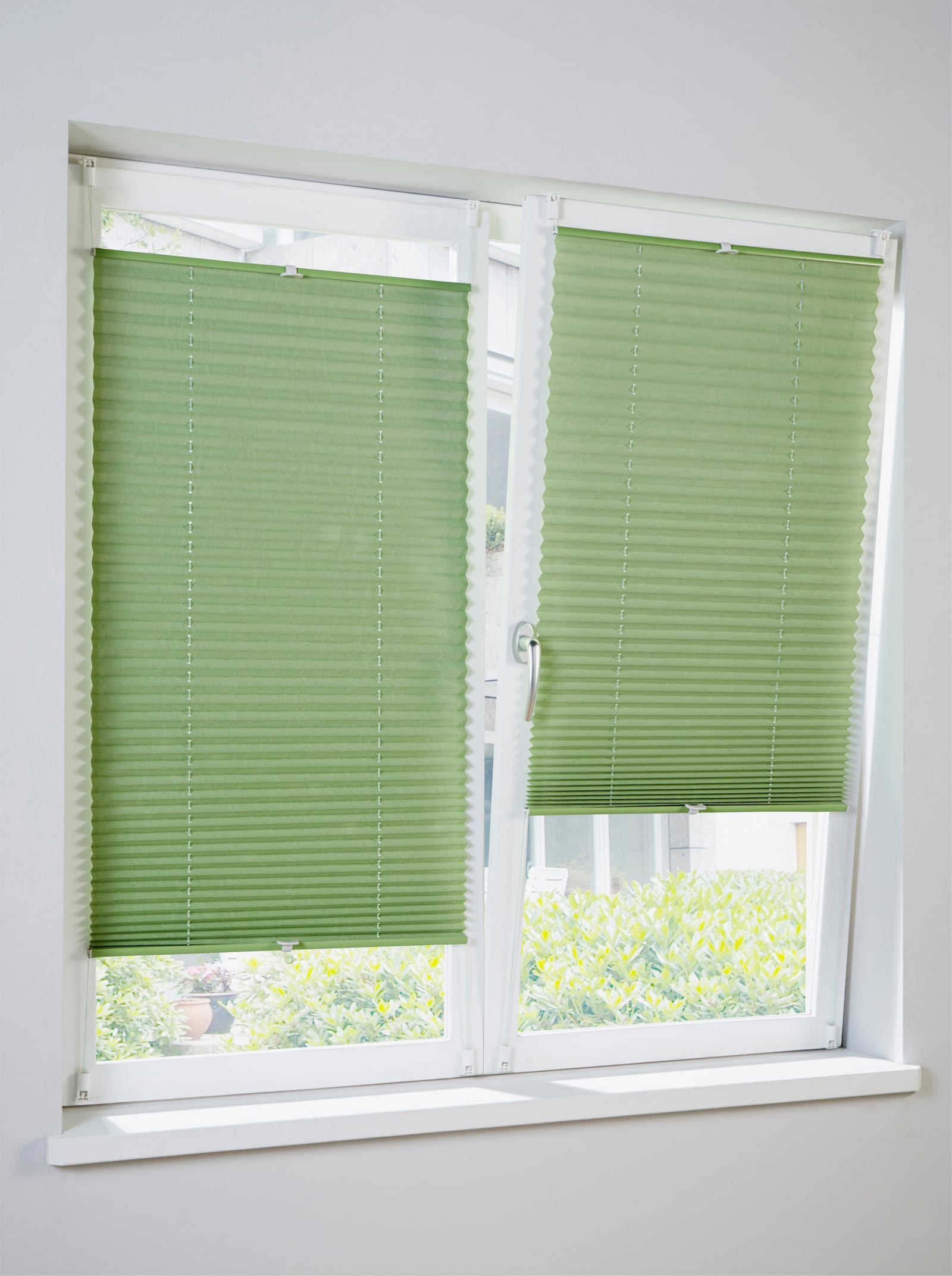 heine home Plissee-Jalousie - lindgrün