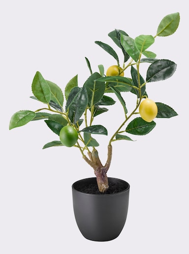 Gasper Kunstplant - groen/geel