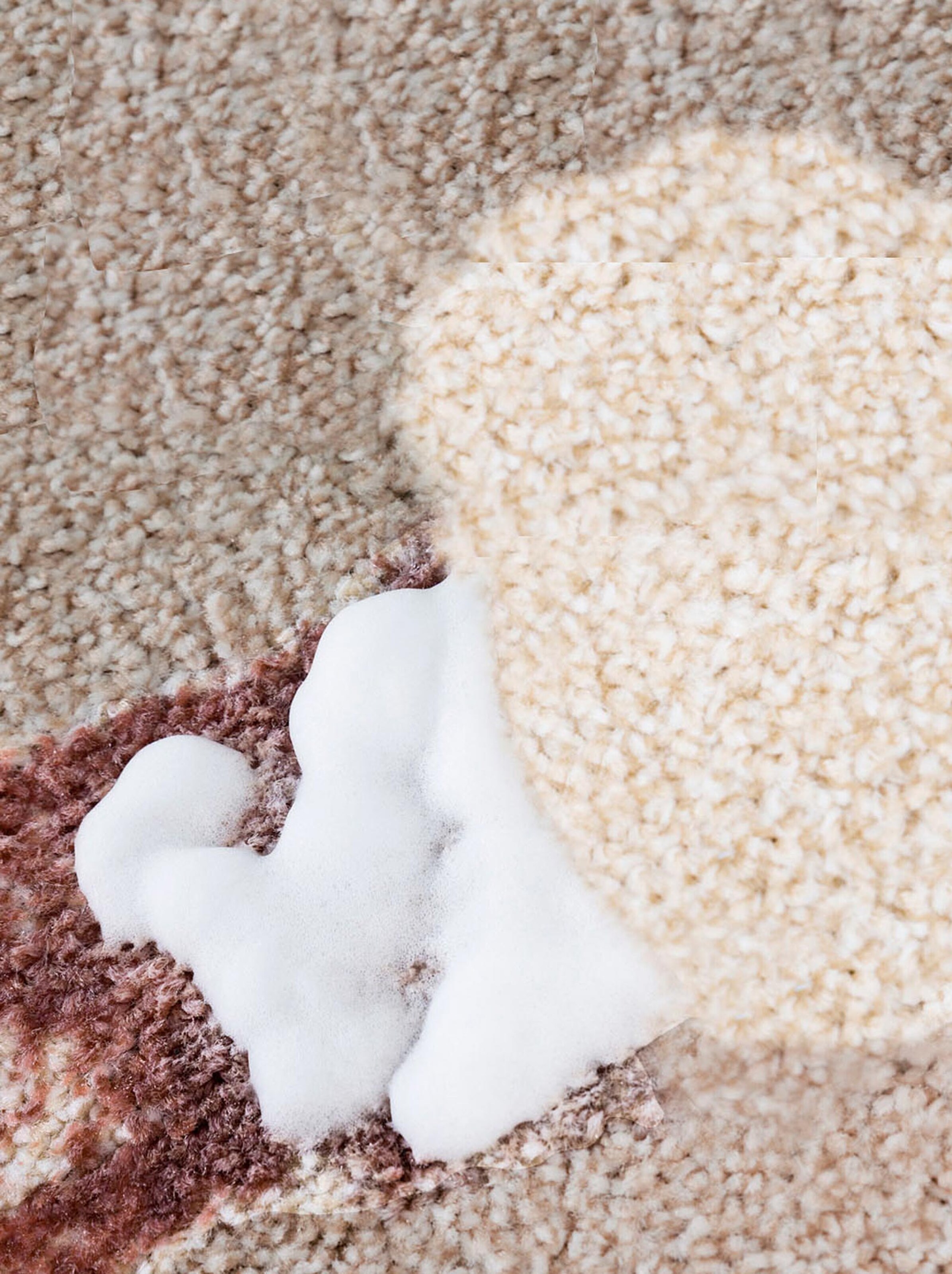 Teppich-und Polster-Rein - weiß