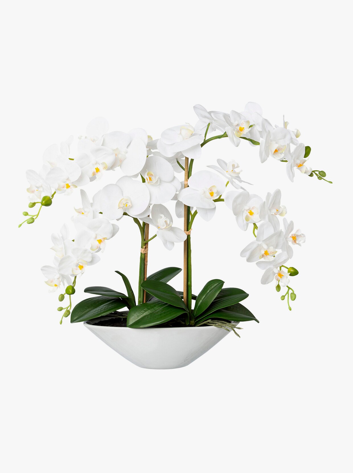 Gasper Kunstpflanze - weiß