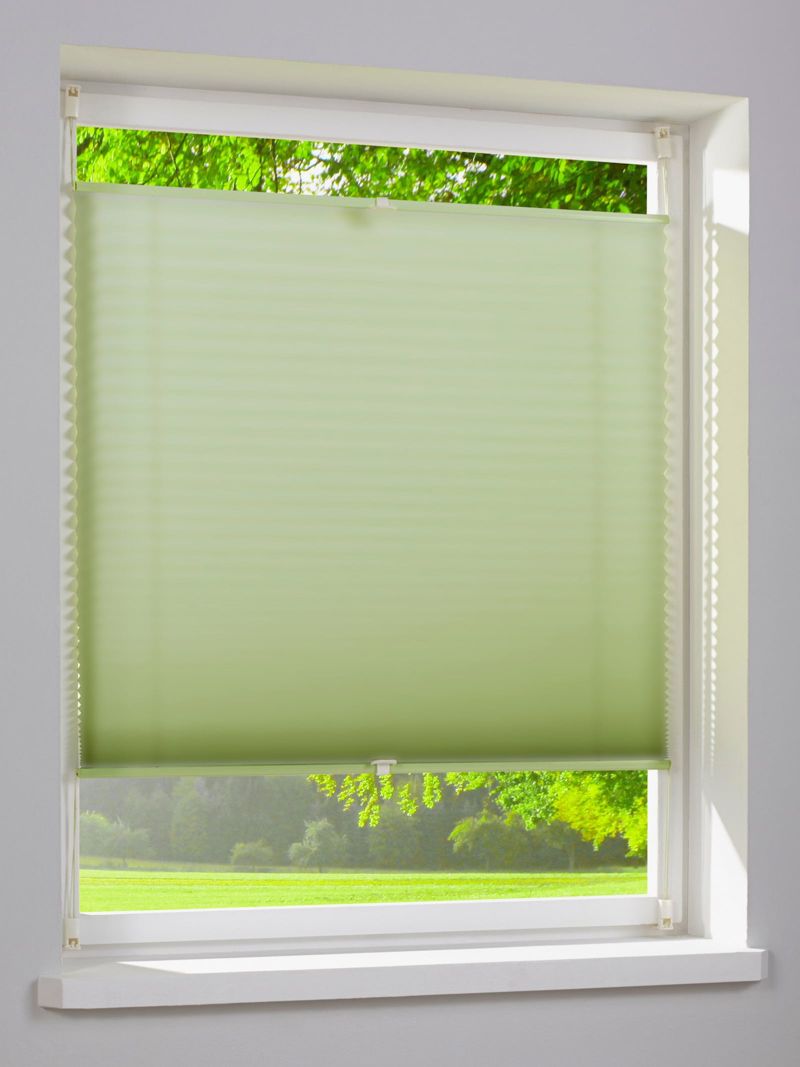 heine home Plissee-Jalousie - lindgrün
