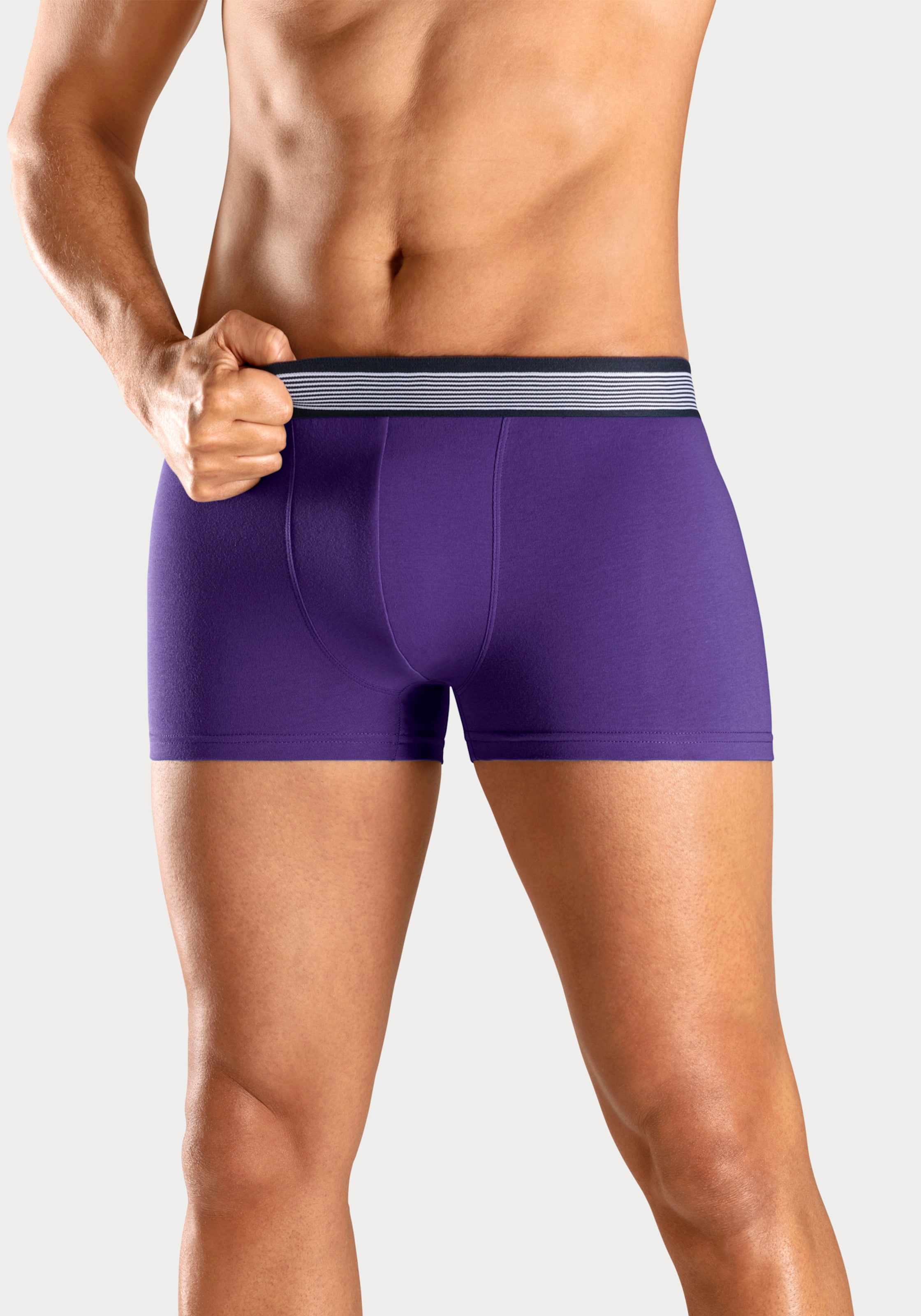 Thumbnail - Boxer