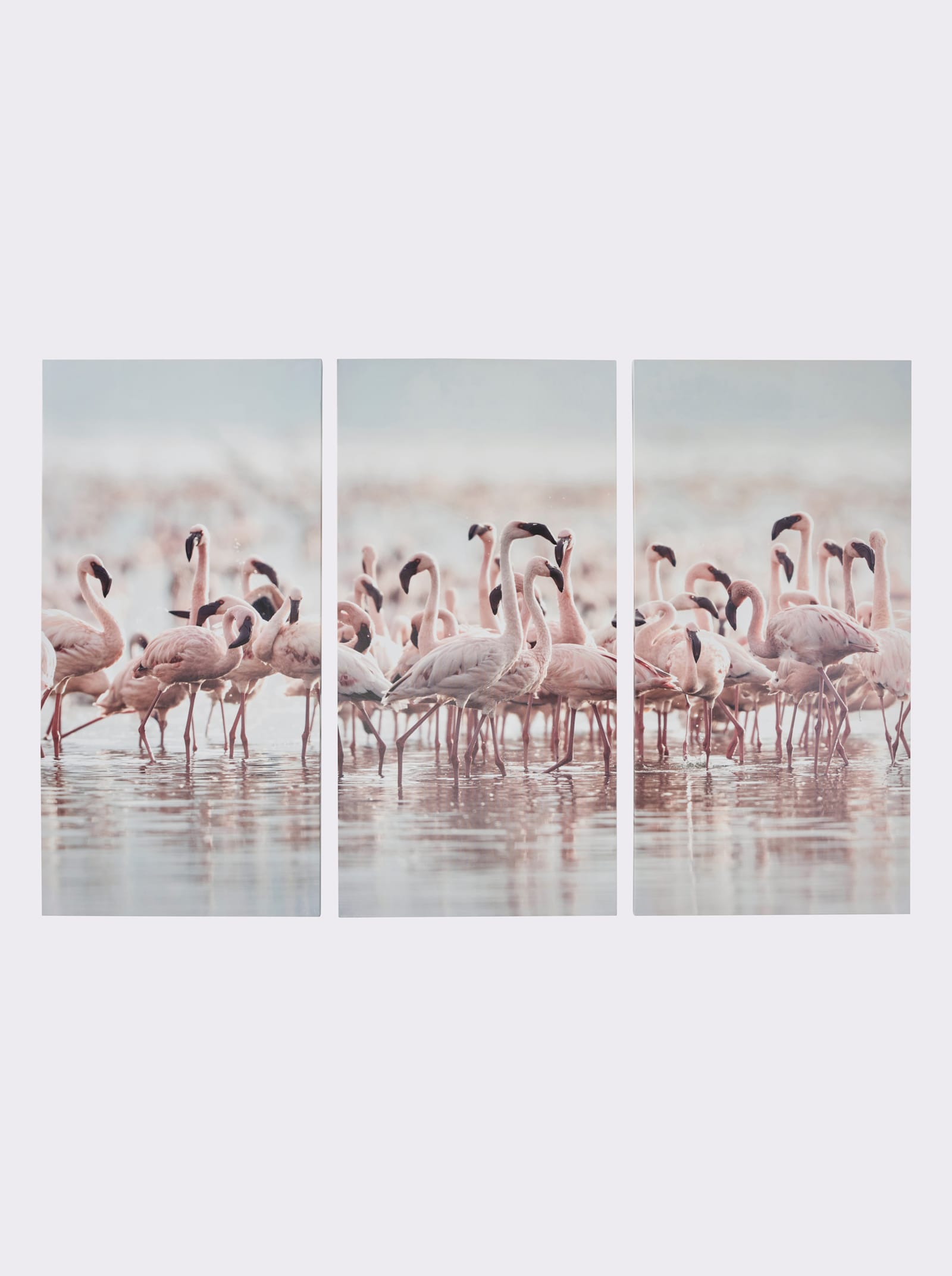 Impressionen Bild - rose