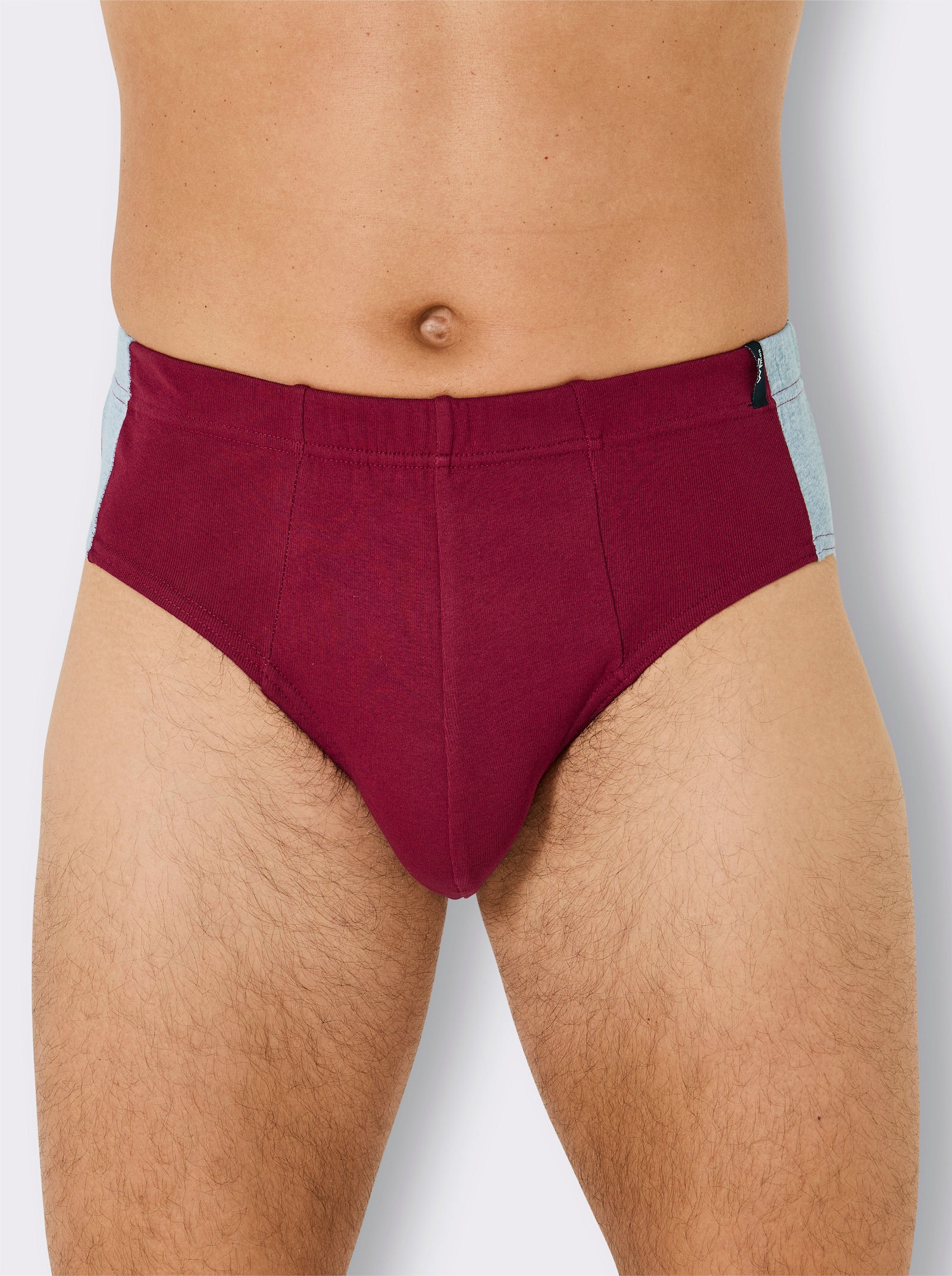 wäschepur men Slip - schwarz + marine + grau-meliert + dunkelrot