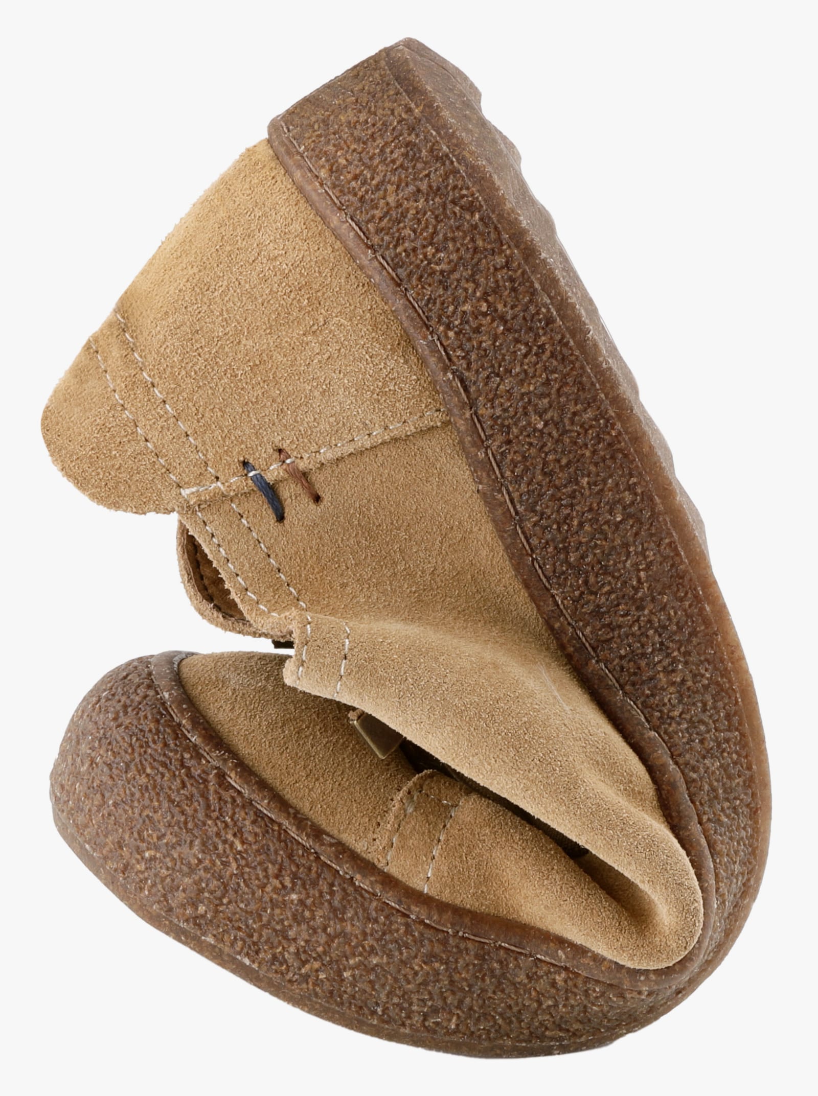 Andrea Conti Schnürer - camel