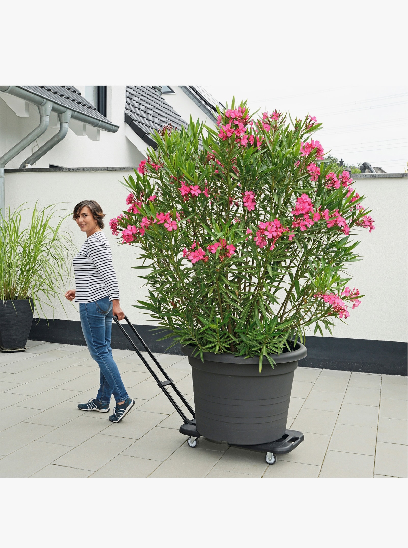 heine home Transportwagen - schwarz