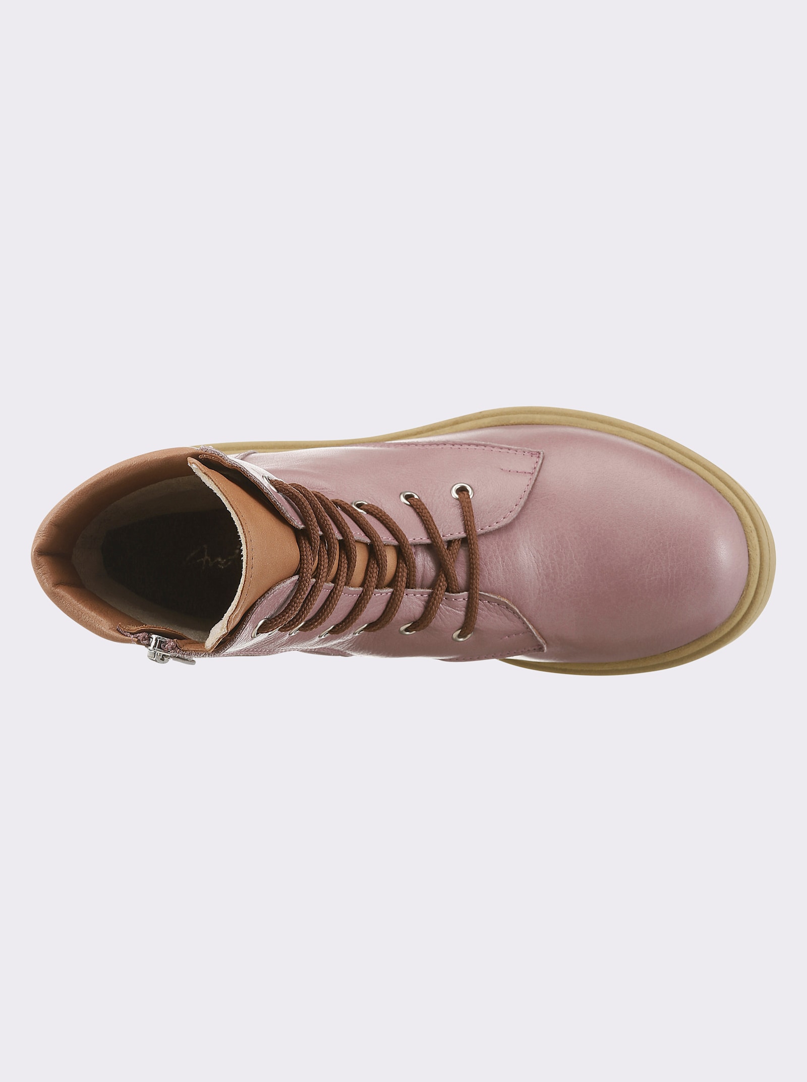 Andrea Conti Schnürstiefelette - mauve