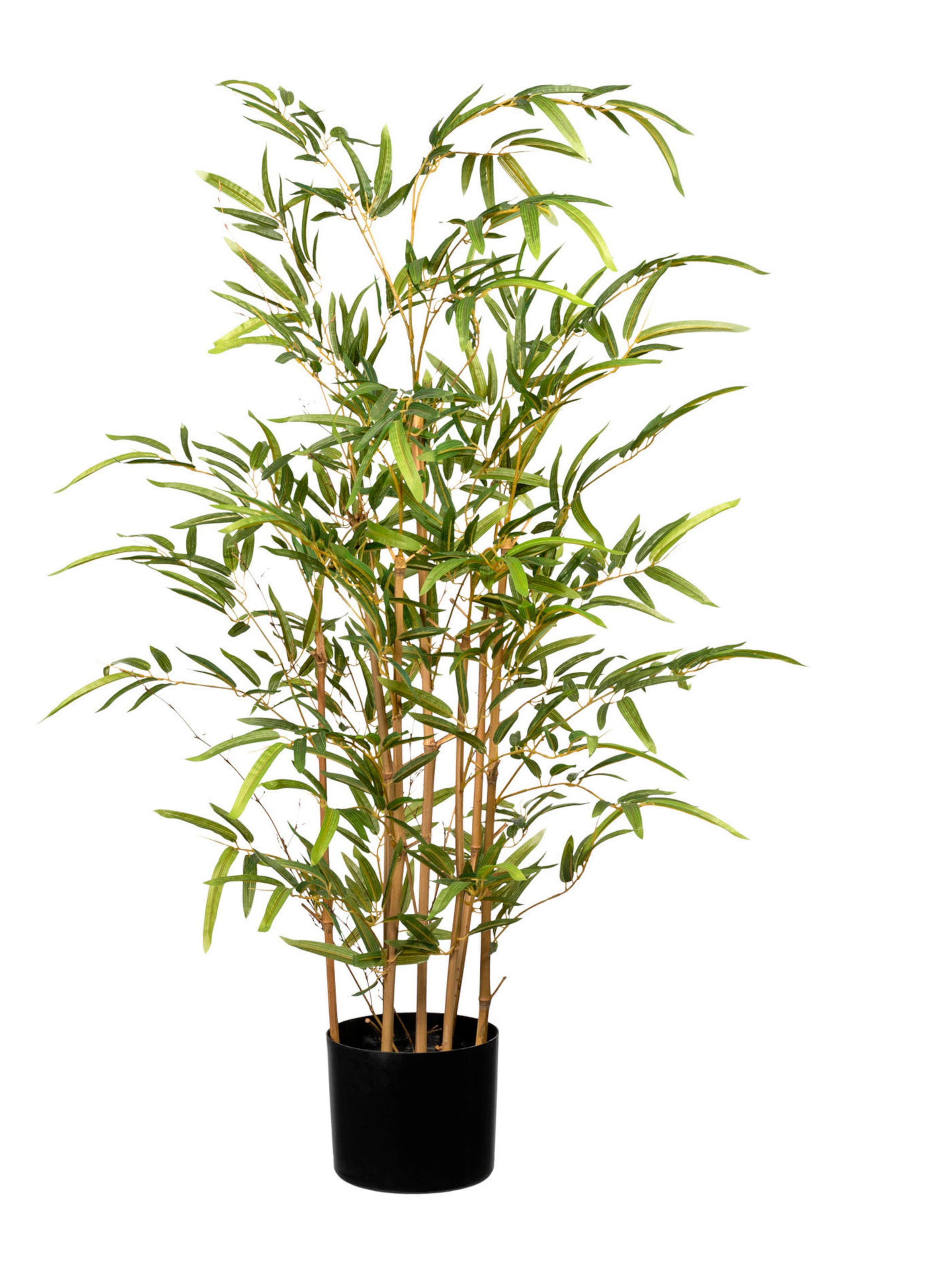 US Gear günstig Kaufen-Kunstpflanze in grün von Gasper. Kunstpflanze in grün von Gasper <![CDATA[Kunstpflanze Bambus. Täuschend echt und garantiert pflegeleicht! Naturstamm mit detailgetreu gearbeiteten Blättern, kaum vom Original zu unterscheiden. Aus hochwertigem,