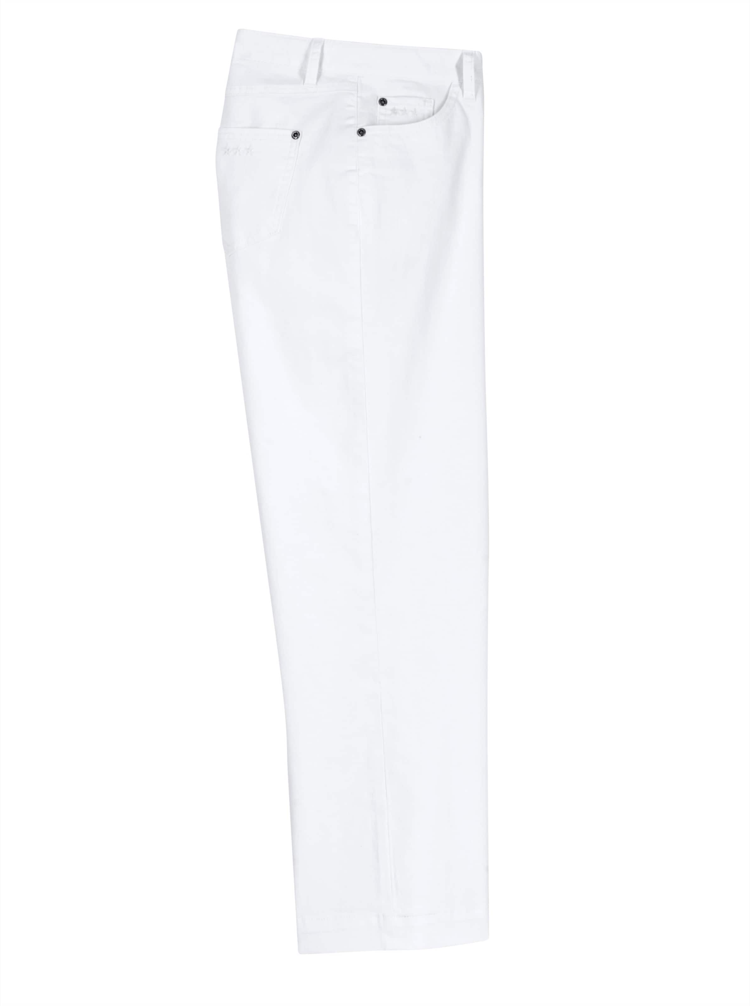 Culotte