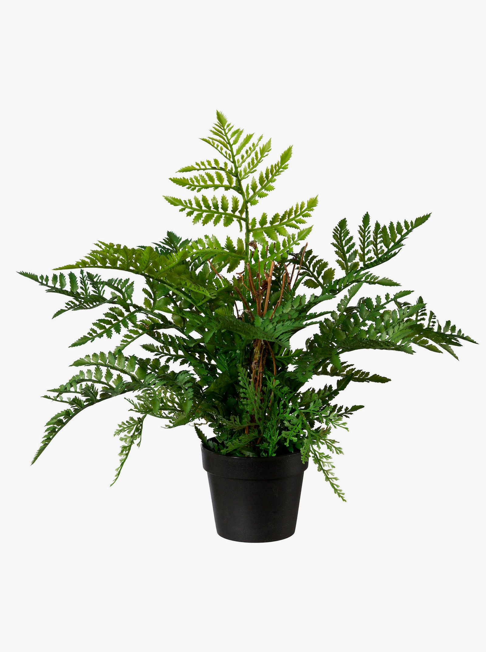 Gasper Kunstpflanze - grün