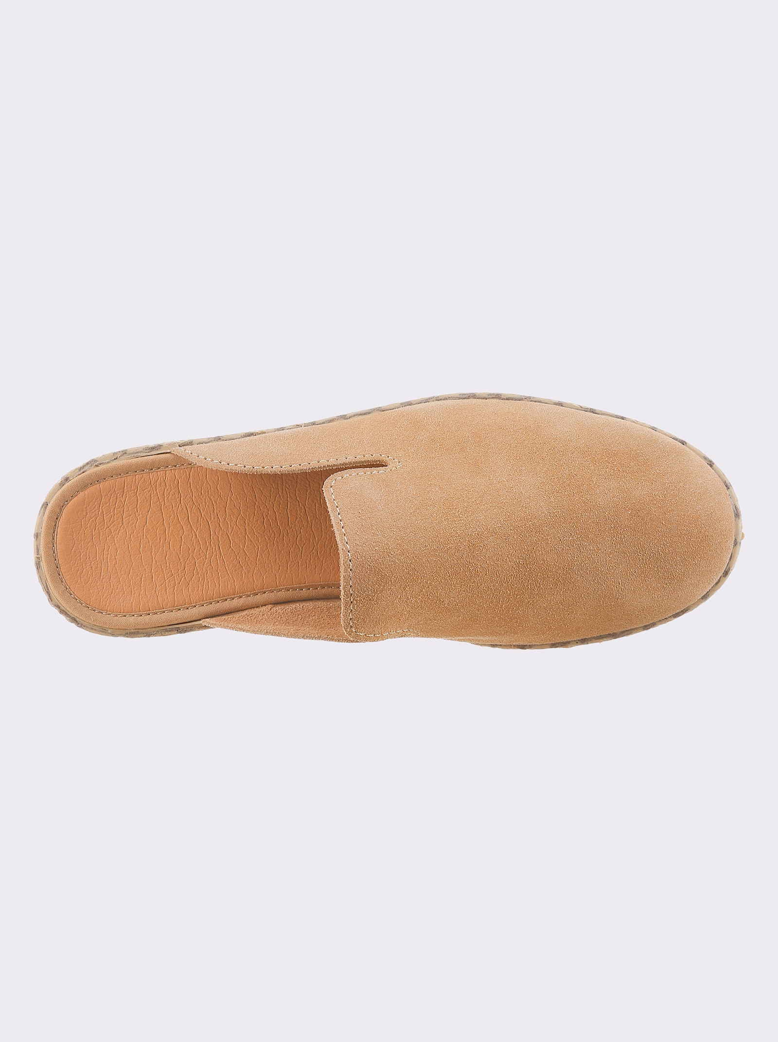 heine Sabot - camel