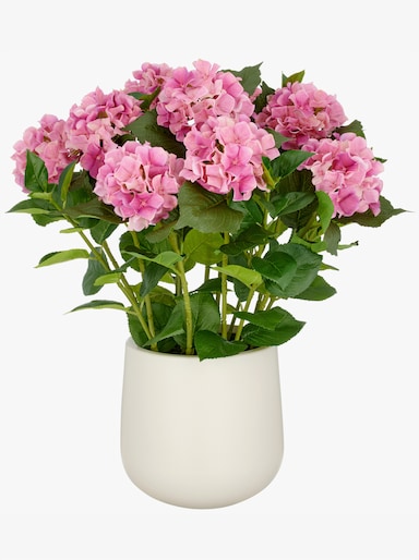 Gasper Kunstpflanze - pink