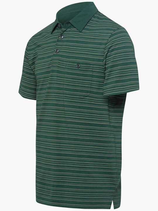 Poloshirt - moos-gestreift