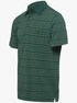 Poloshirt - moos-gestreift