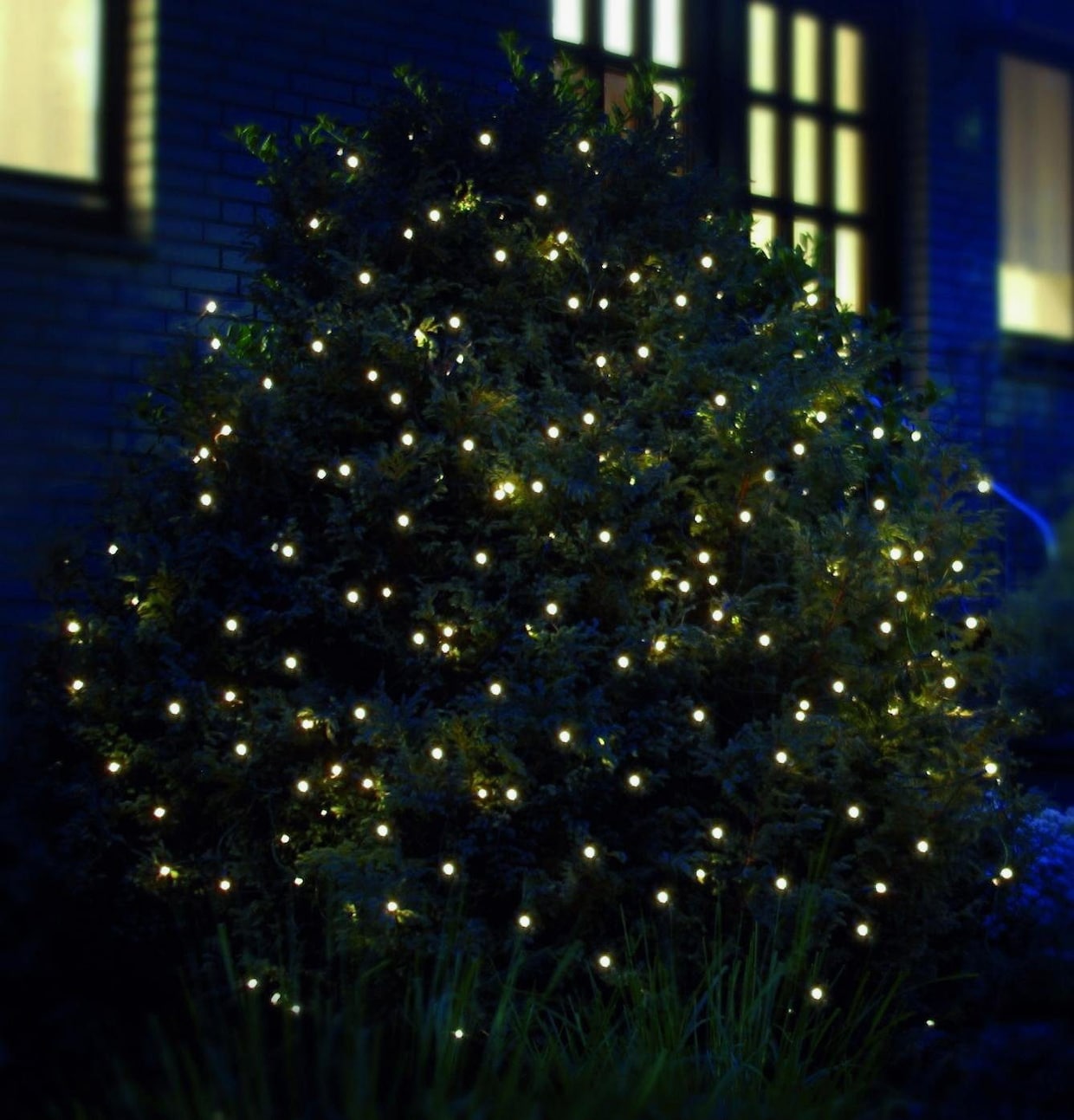 my home LED-Lichternetz - grün