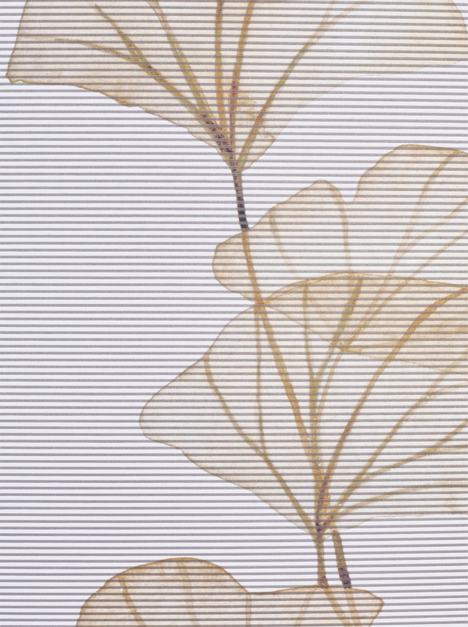 heine home Schiebevorhang - sand-weiß